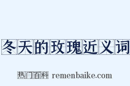 冬天的玫瑰近义词是什么意思的图片